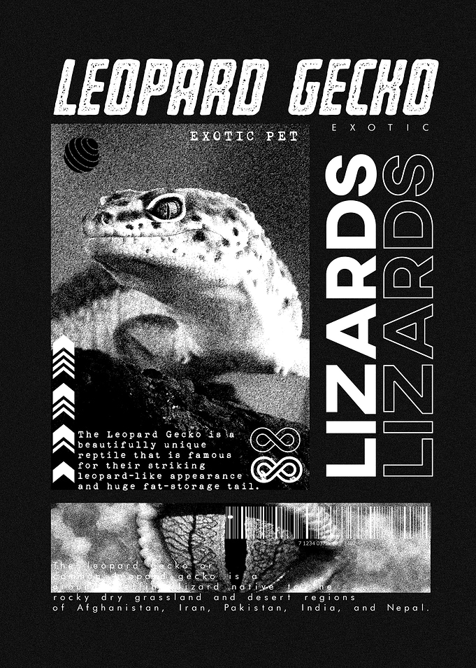 Leopard Gecko Modern