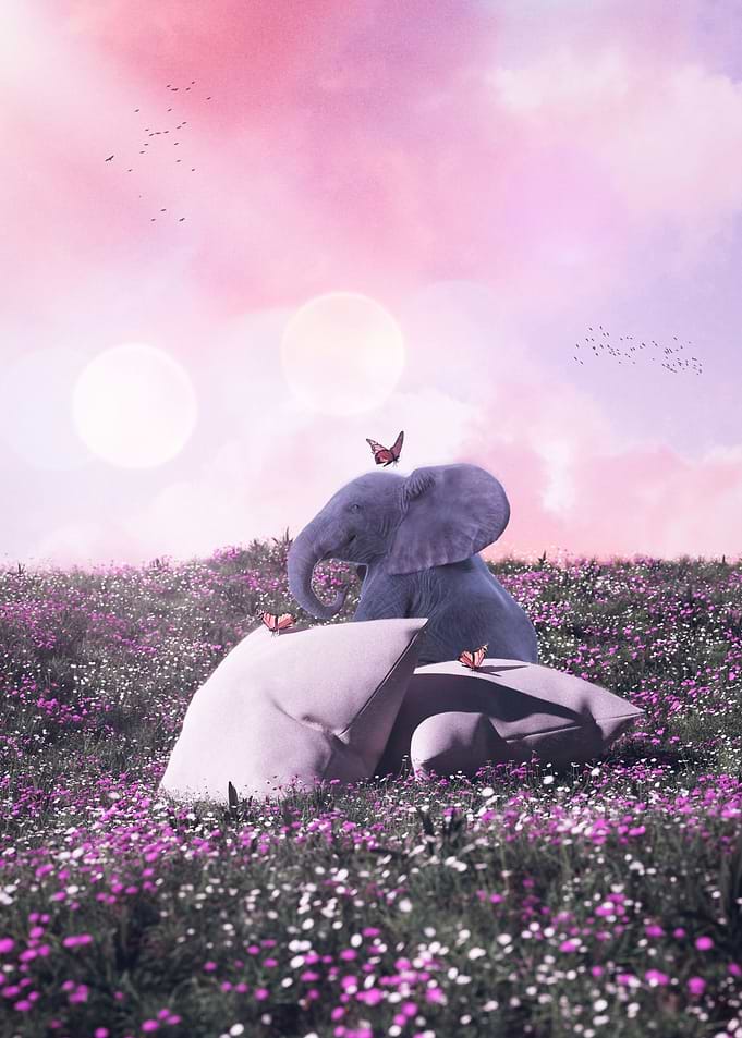 Cute Baby Elephant Pillows