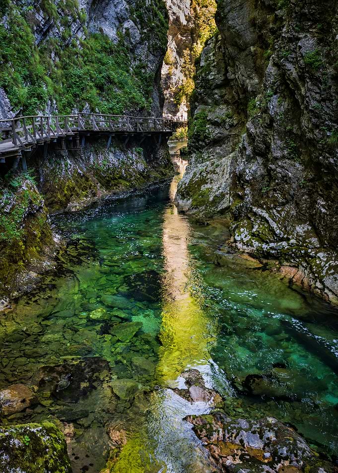 Sunlight In Vintgar Gorge