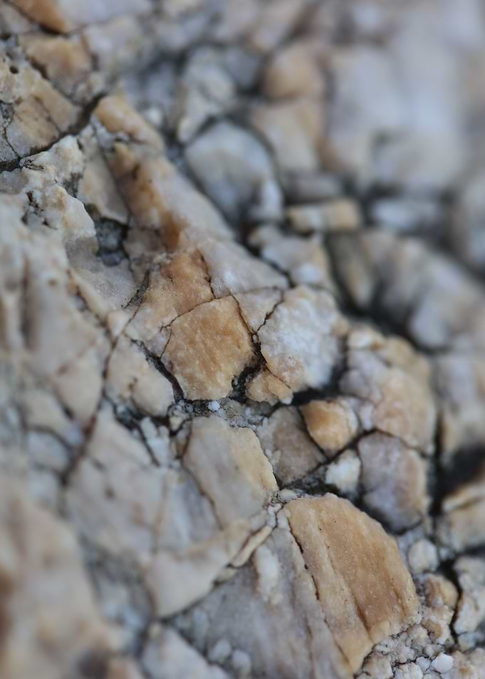 Sea rock abstract close up