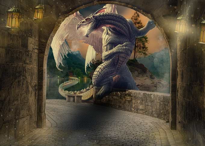 Mystic Animal Pictures
