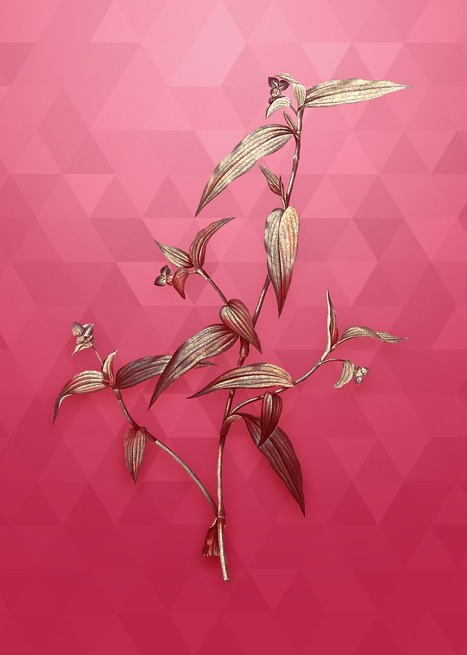 Tagblume on Viva Magenta