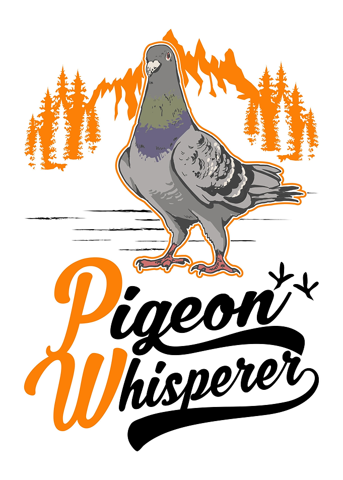 Pigeon Fancier City Pigeon