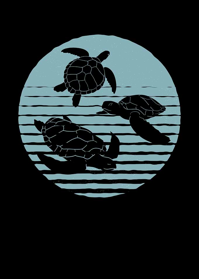 Tortoise