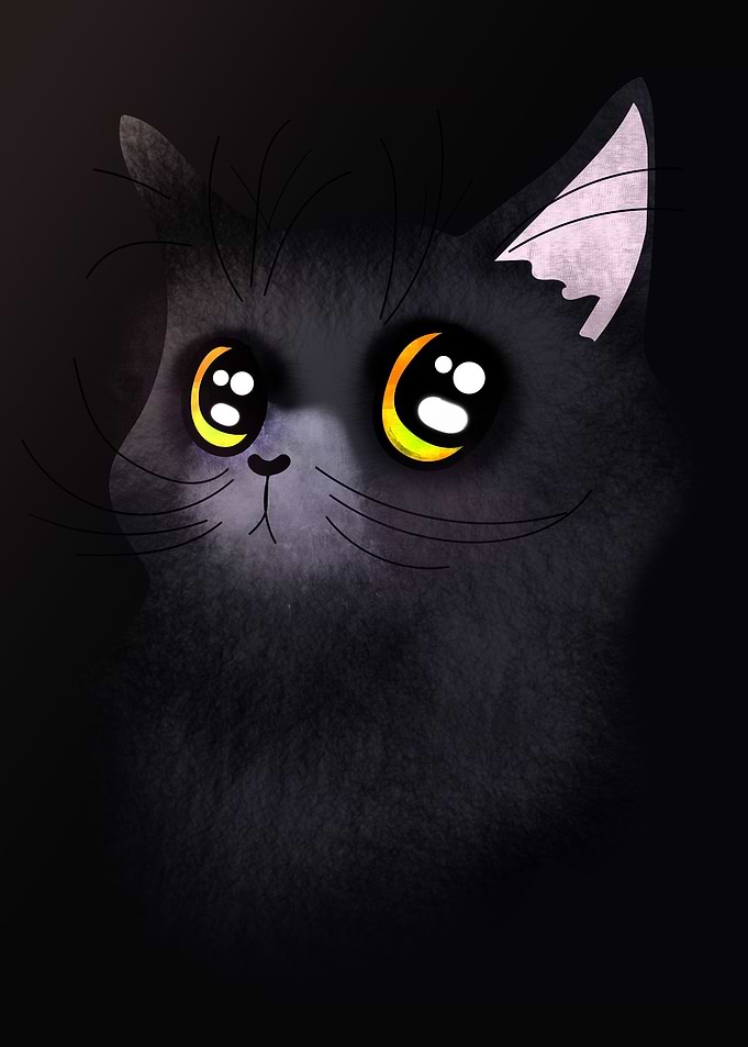Mystic Animal Pictures