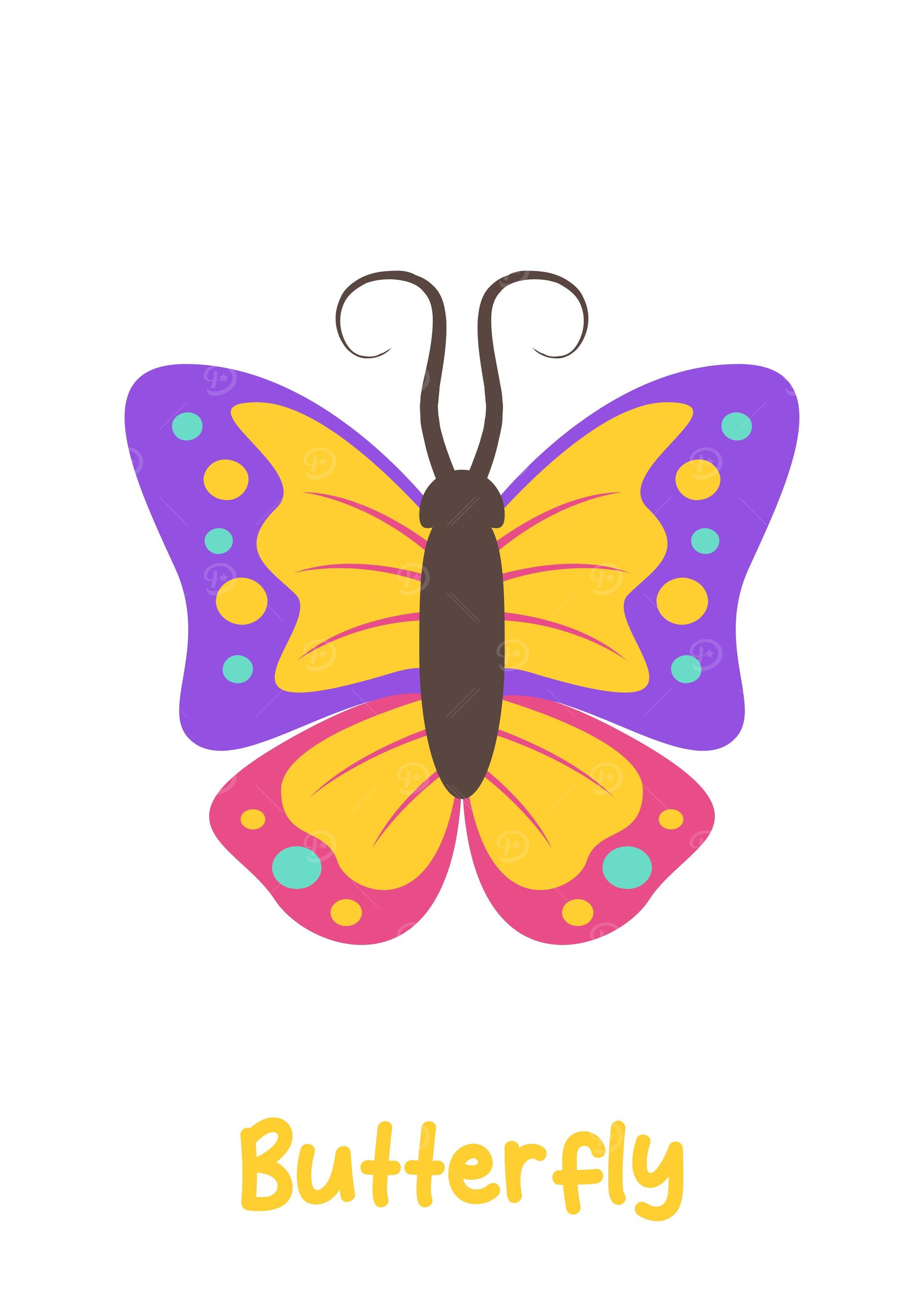 butterfly