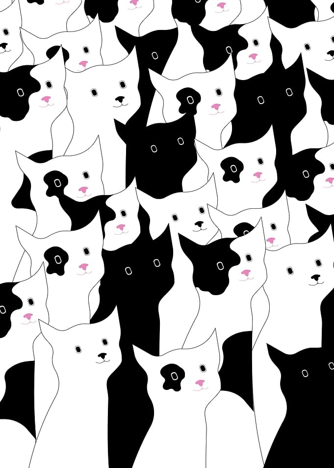 Cute Cats