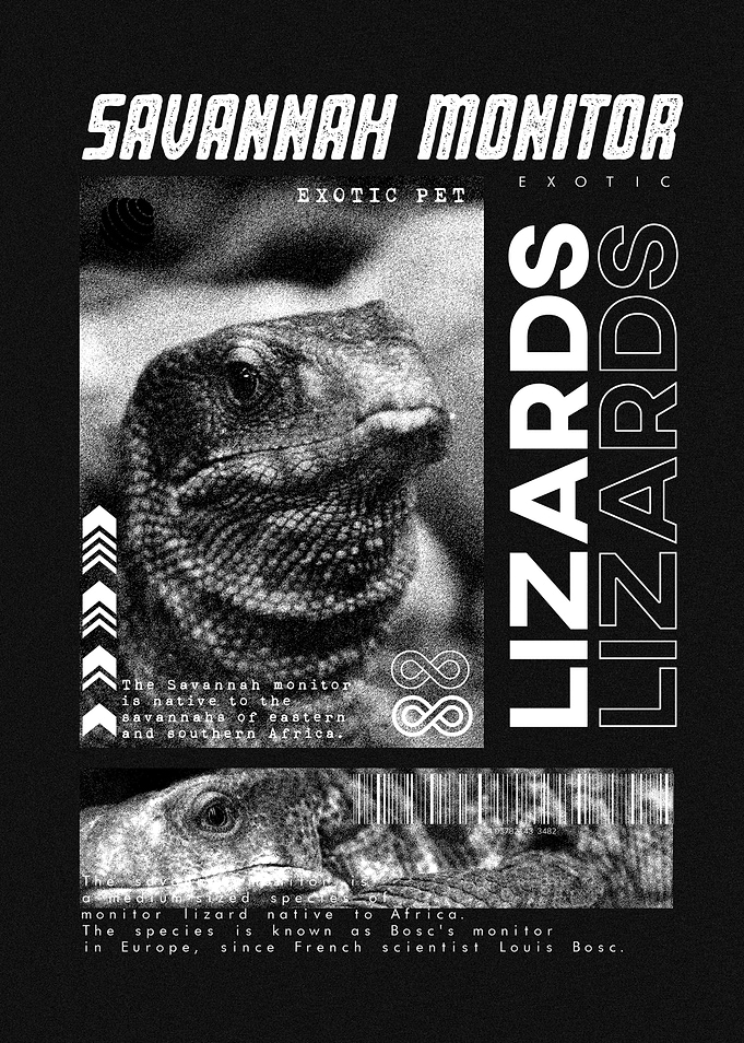 Savannah Monitor Modern