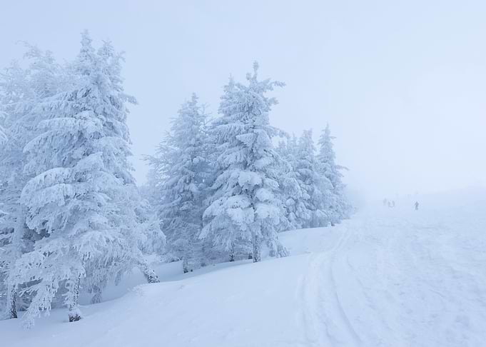 Snowy and frosty winter