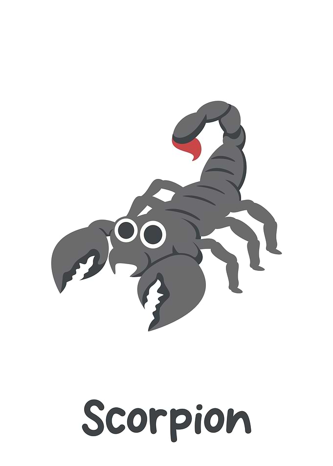 Scorpion