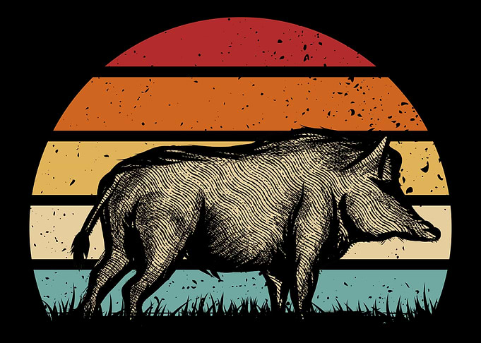 Boar Sunset Forest