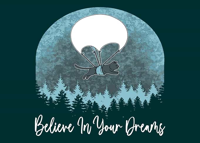Believe In Your Dreams