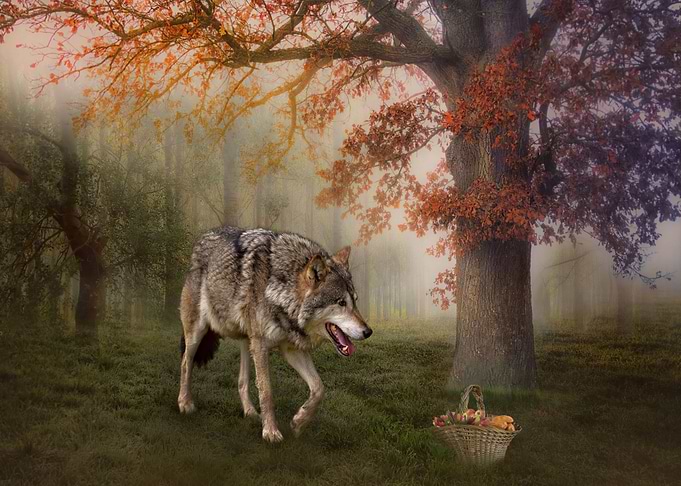 Mystic Animal Pictures