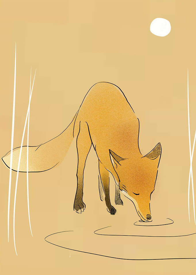 Fox recovering