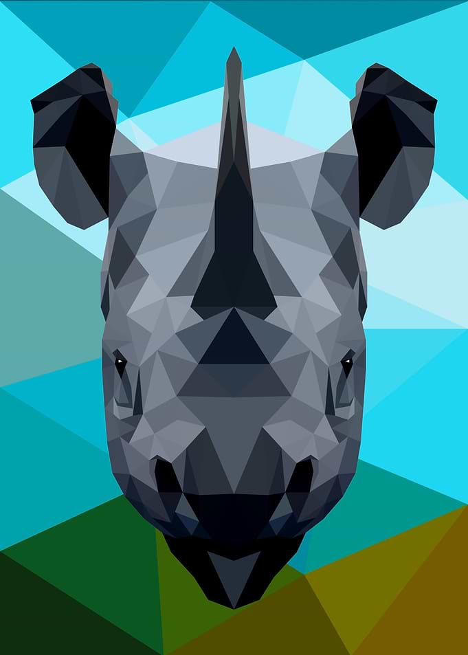 Rhino