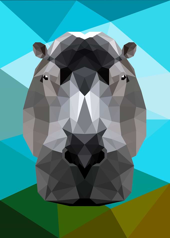 Hippo