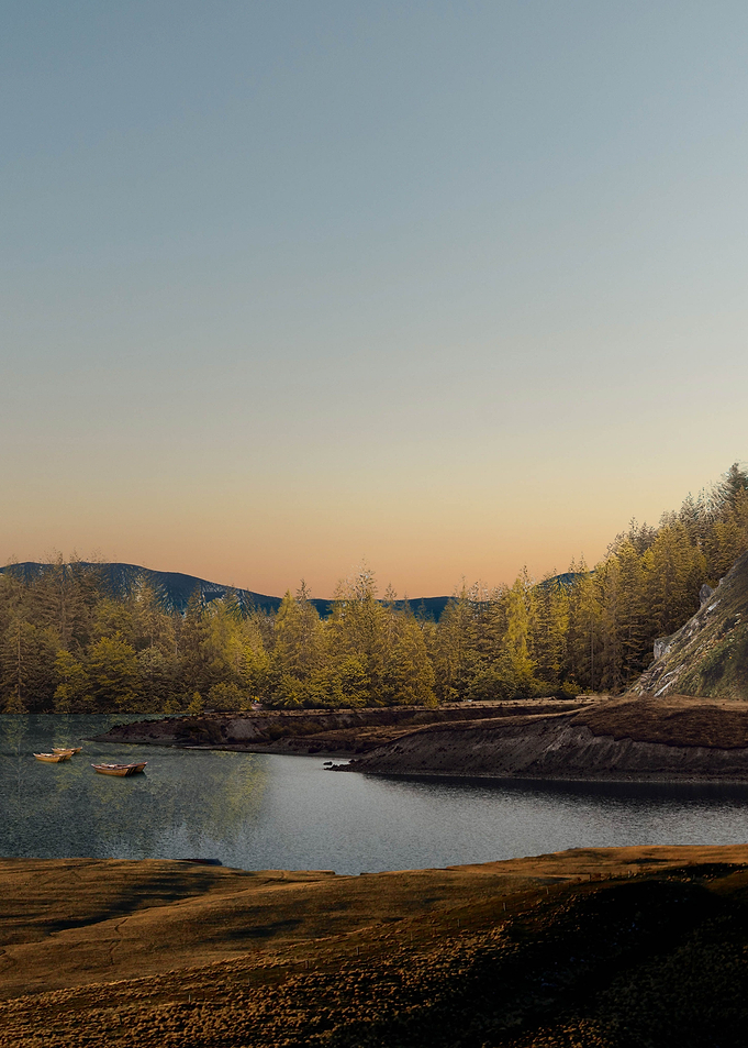 Tree lake