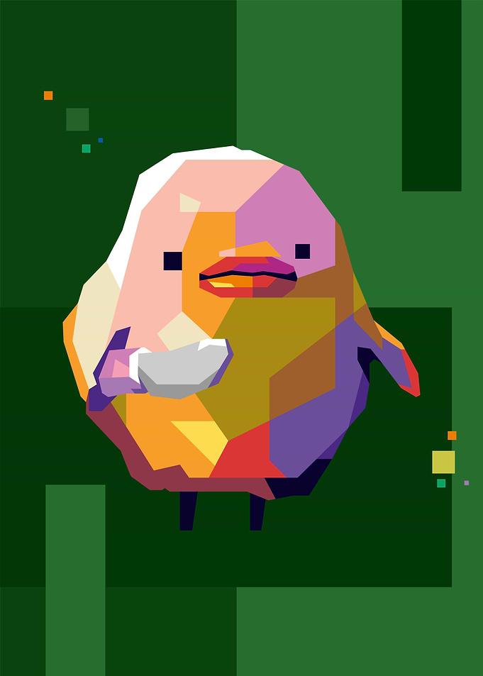what the duck