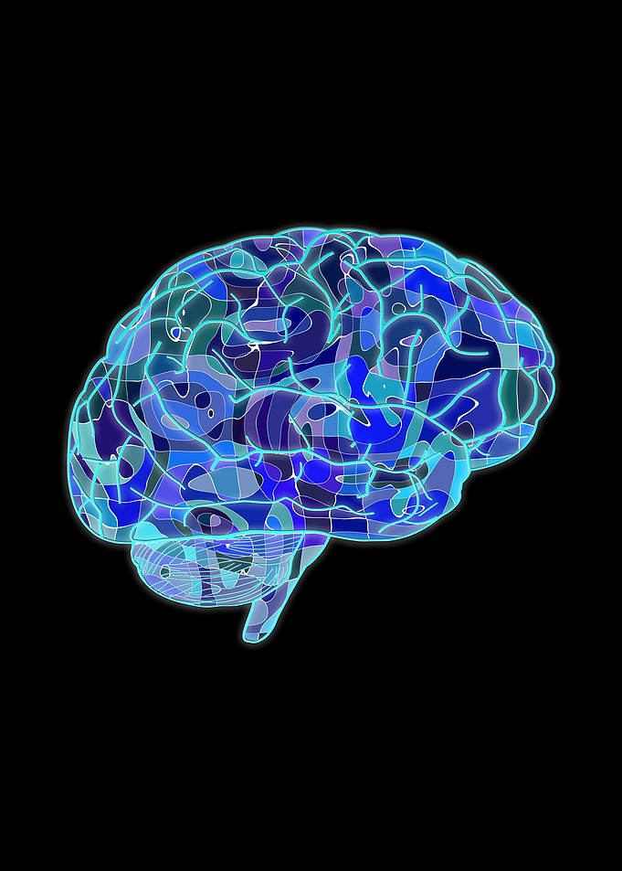 brain abstract