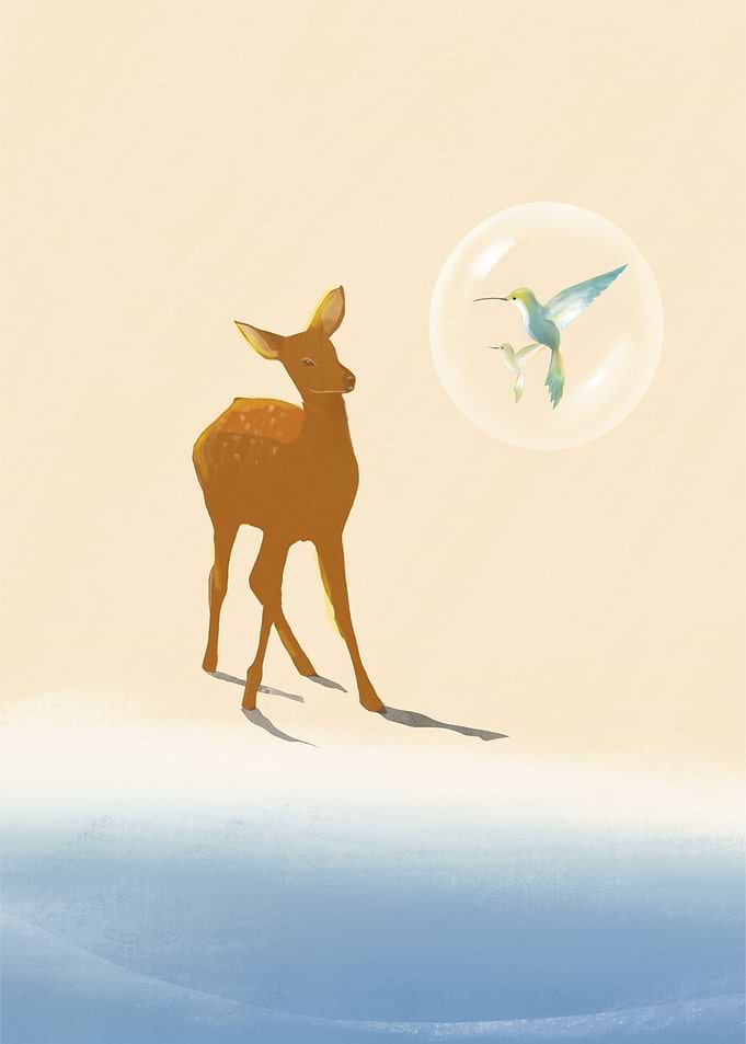 Deer on the beach