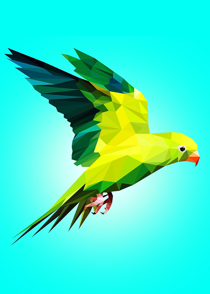 Parakeet