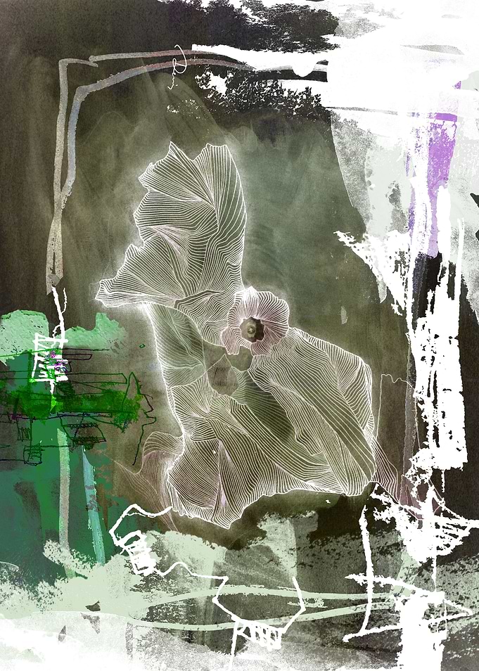 White Butterfly
