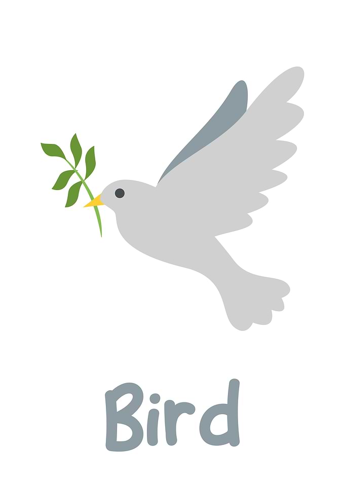 Bird