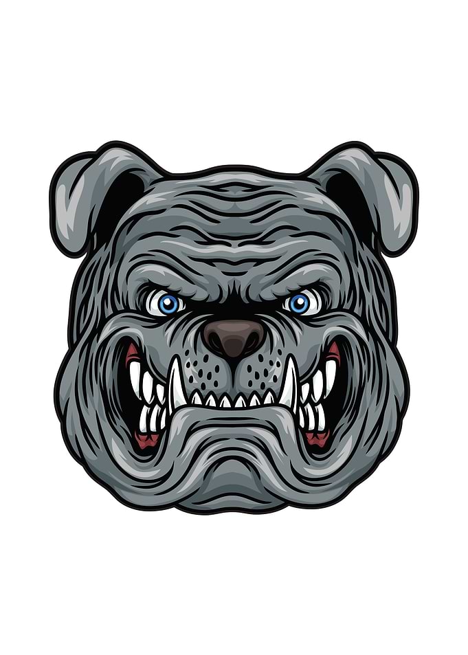 Bulldog head Football
