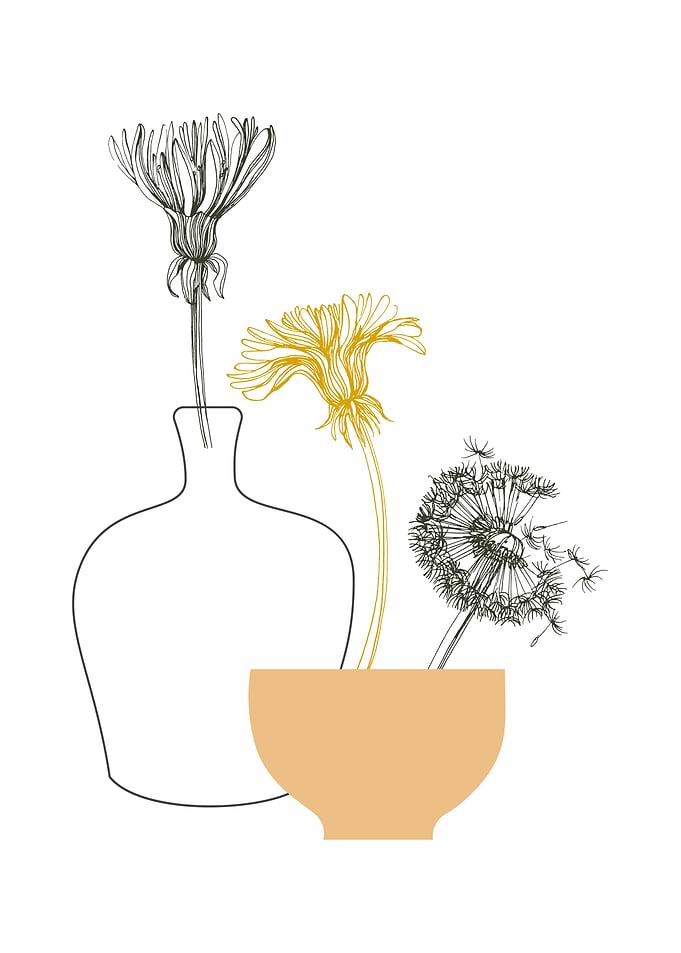 Taraxacum