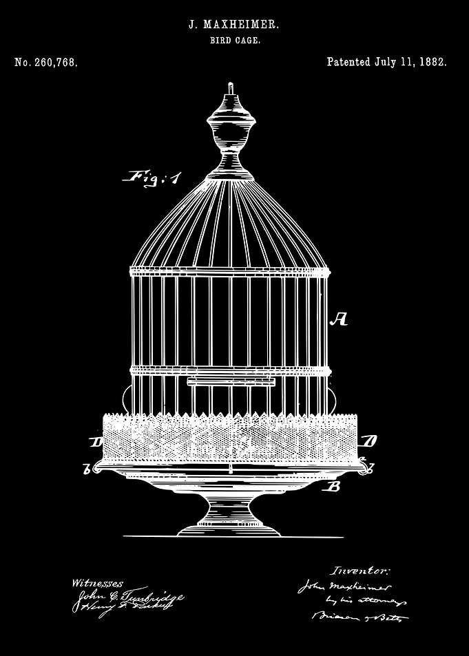 Bridcage patent