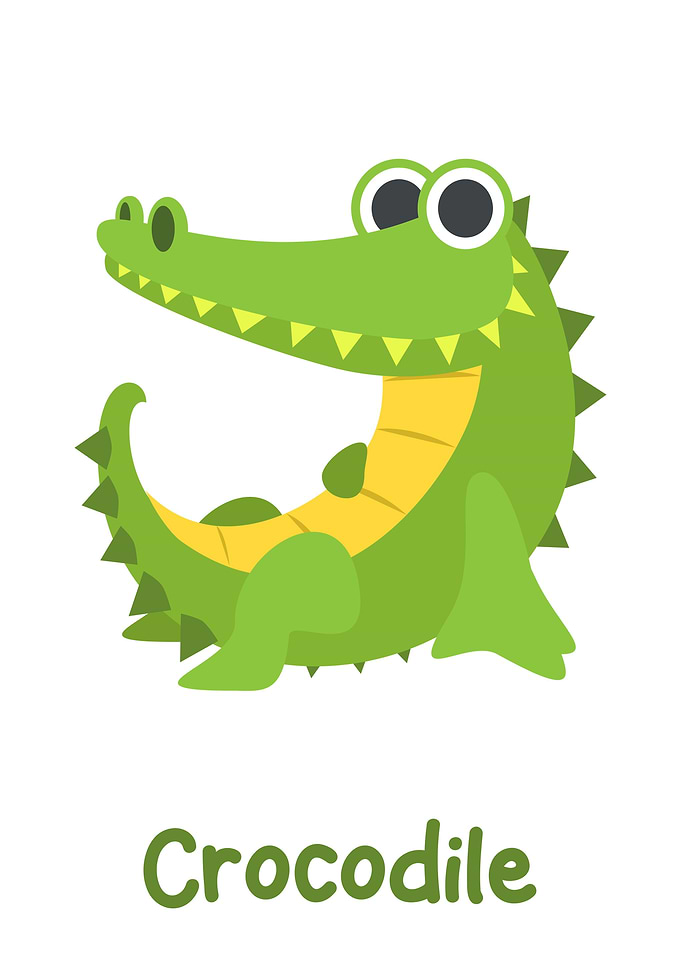 crocodile