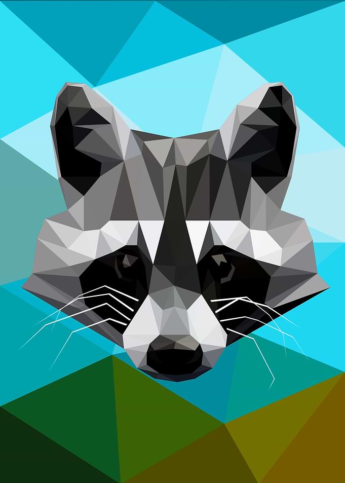 Raccoon