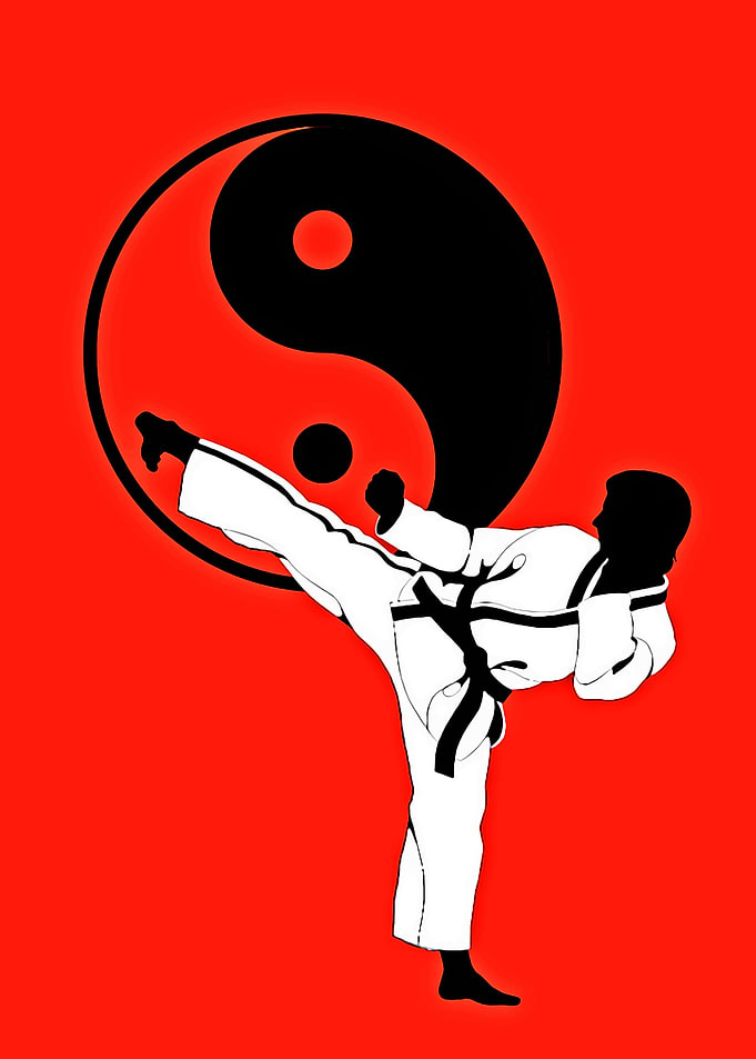 YIN YANG FIGHT