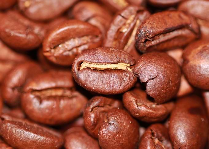 brown coffee bean