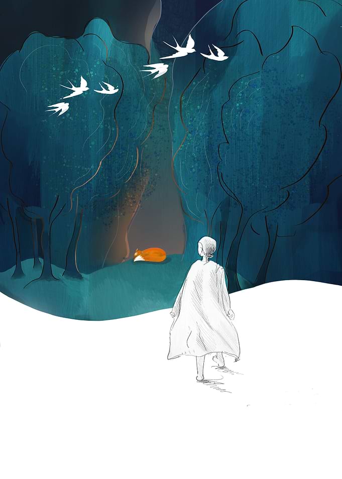Cape Journey