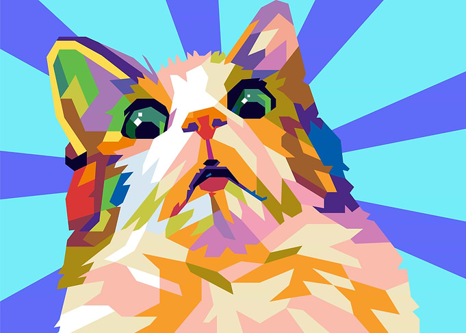 scared cat meme