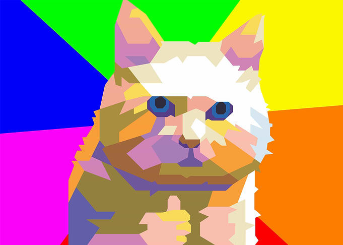 cool cat meme