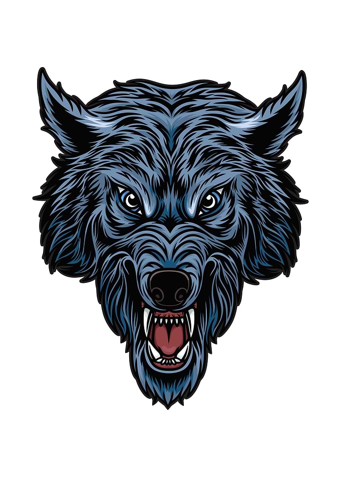 Wolf head Football