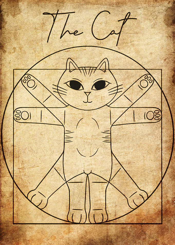 The Vintage Cat