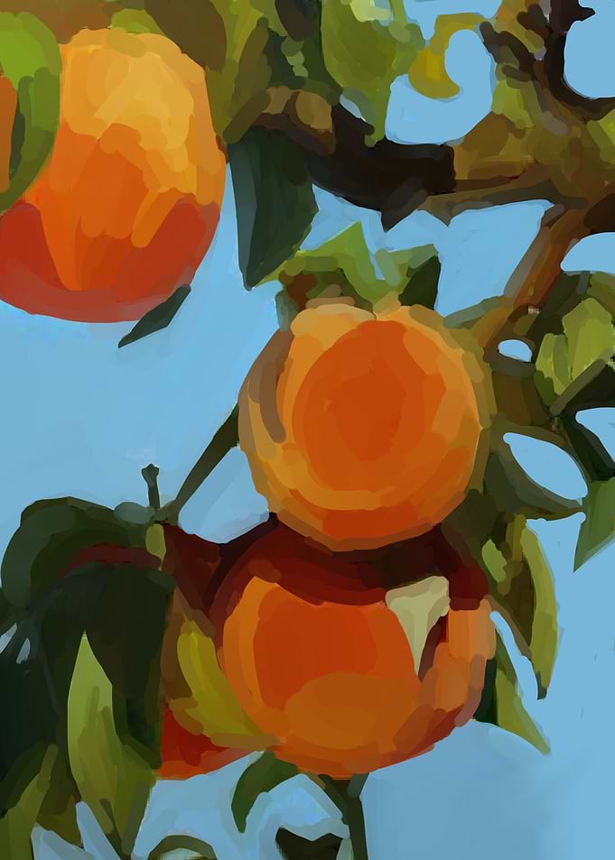 fruits peach