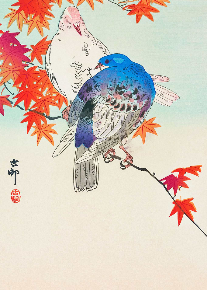 Two Pigeons