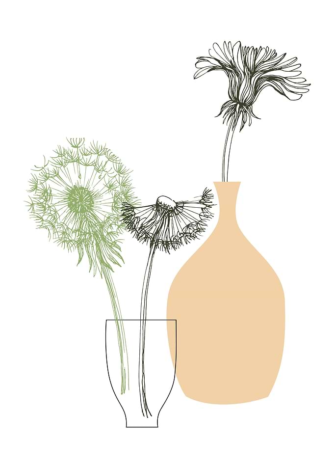 Blowball