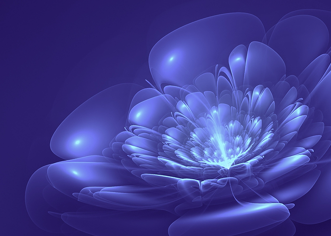 Blue Flower