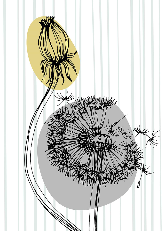 Blowball