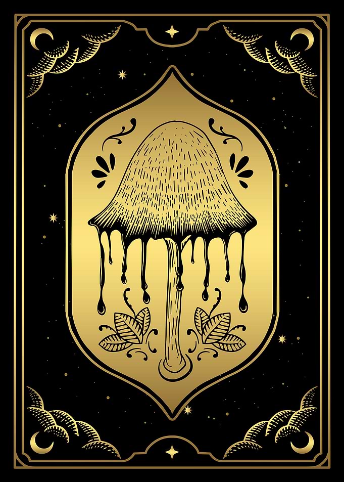 Tarot mushroom