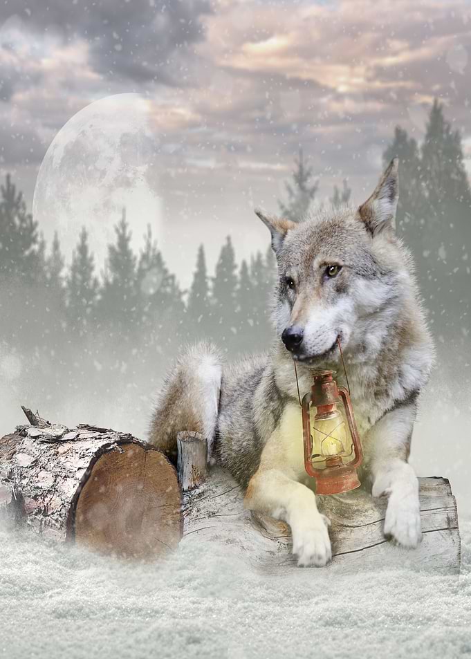 Mystic Animal Pictures