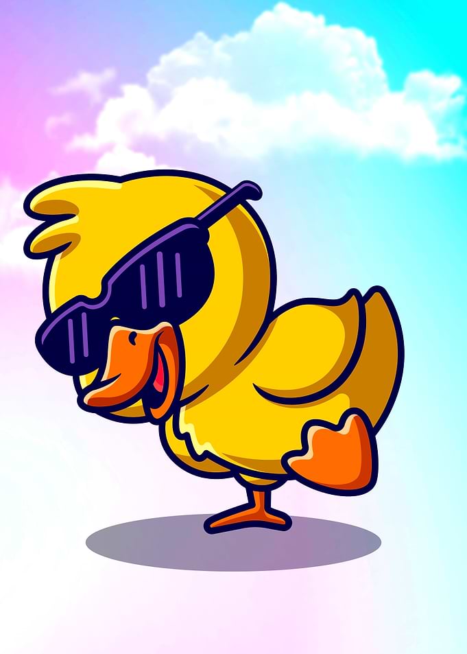 Duck
