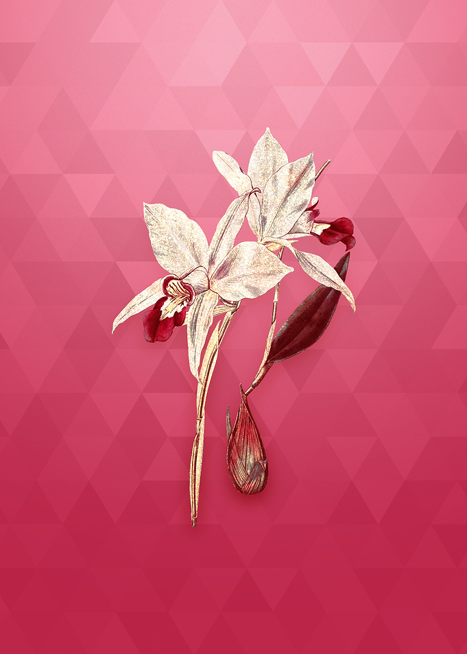 Vintage Two Edged Laelia