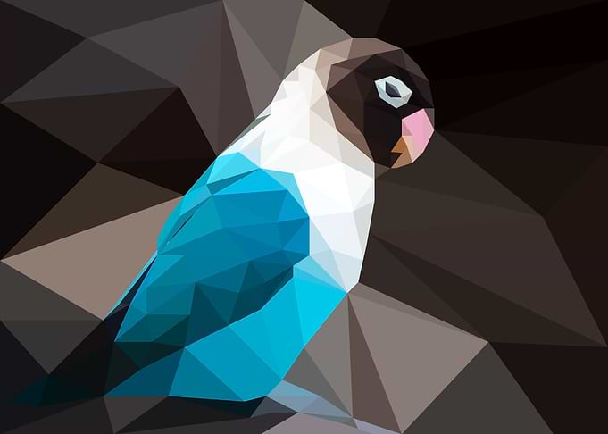 Parakeet