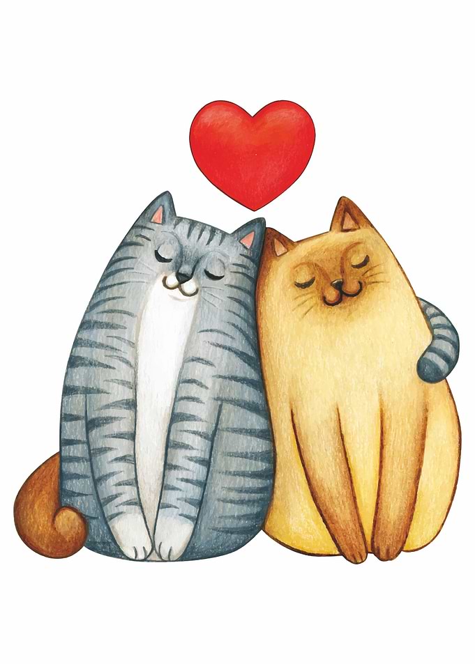 Cat Love